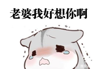 搞笑道歉这样想要的老公手机,一大堆默默为何表情自动下载保存一表情个人图图片