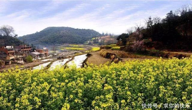 厉害了,河南这5个县市区被教育部点名,未来发展要逆天!