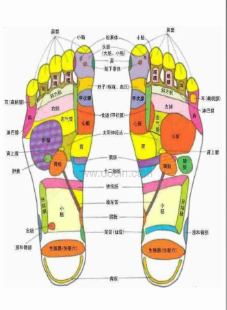 痢穴,高血压点穴,第二厉兑穴,第三厉兑穴,阿基里斯腱穴.