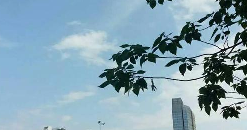 广东梅州、福建龙岩和江西赣州,哪个城市发展的相对较好?