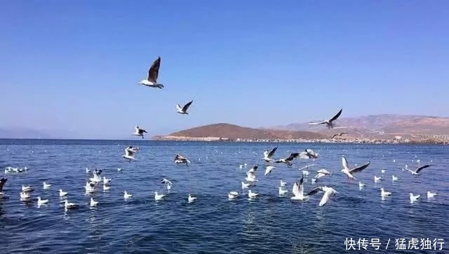 中国最乱取名字的省份,把湖称为海,游客:最初以