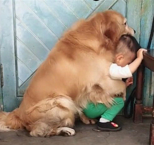 2岁淘气包整天惹祸,爸爸故意训斥他,可宝宝有