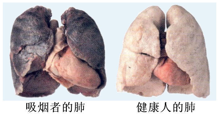 t01edc11b042fb505b2.jpg