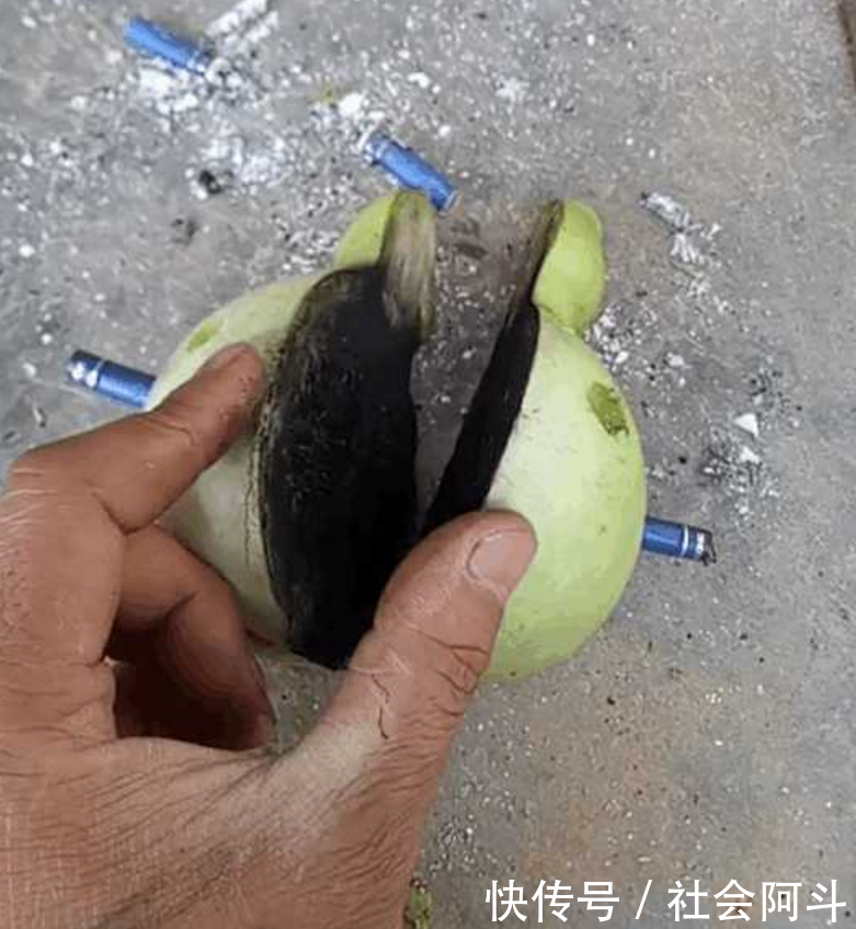 男闲来无聊做起试验,只为证明吸烟有害健康,网