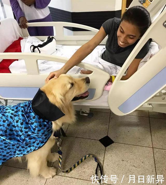 疗养院是干什么的