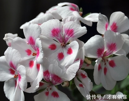 t01efa2e55796d52cd4.jpg