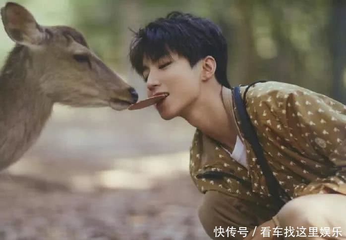 看完王俊凯喂鹿,粉丝笑称,这是要去参加《亲爱