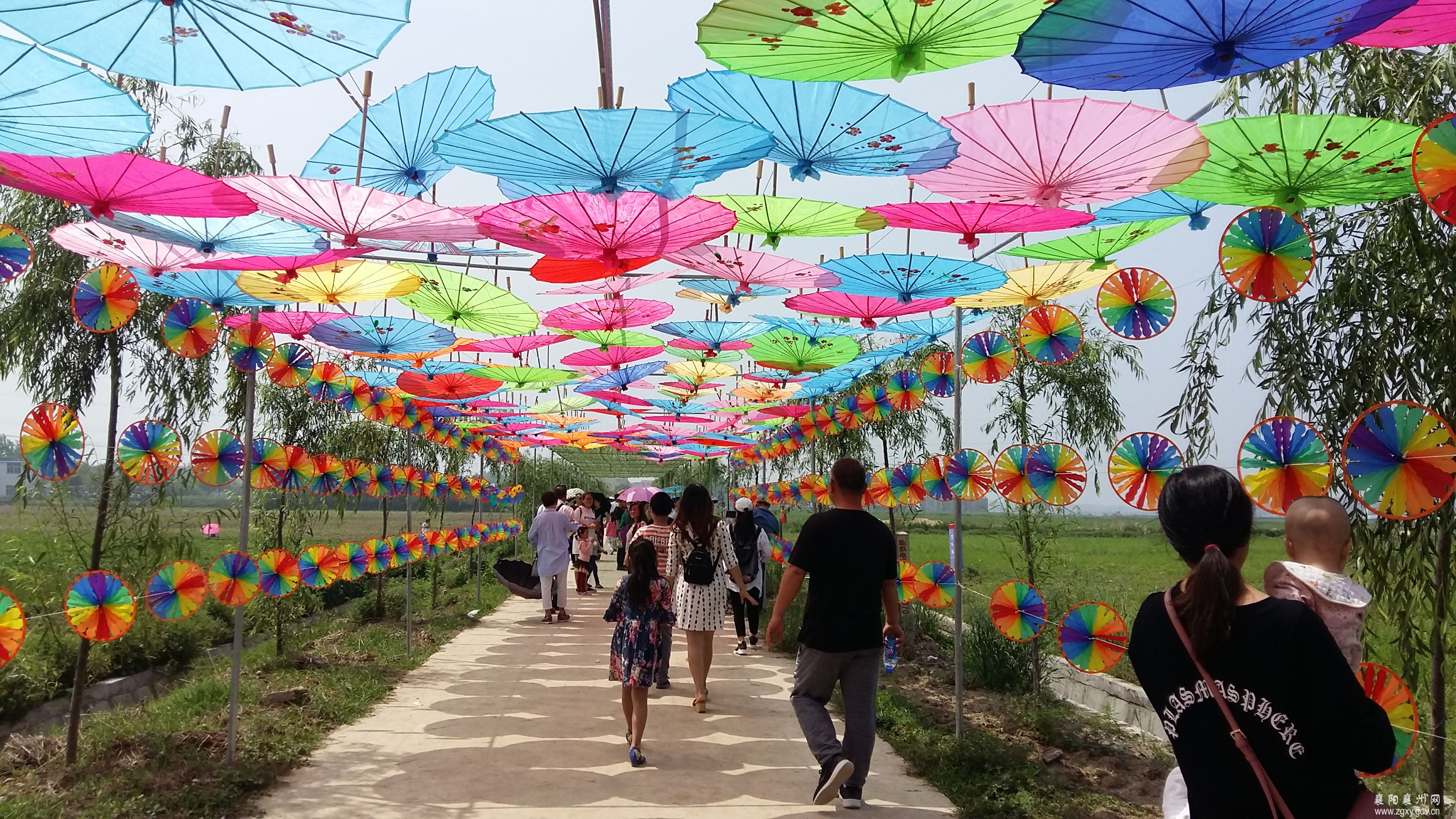 襄州区:花海开园\＂五一\＂假期迎来客流高峰