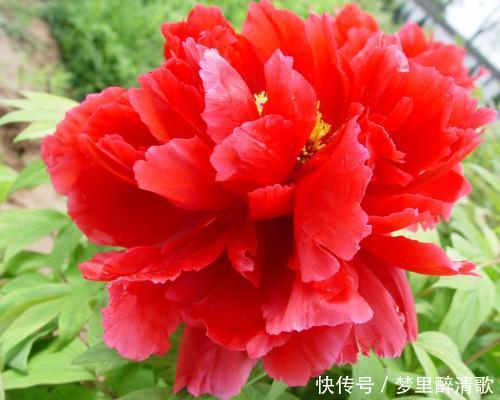 最顾家,处处迁就老婆,心系家人的3大生肖男 ag真人游戏平台