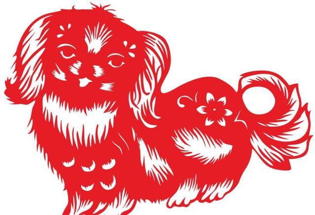 富贵一生,聪明伶俐,这几个月出生的属狗人运势极佳