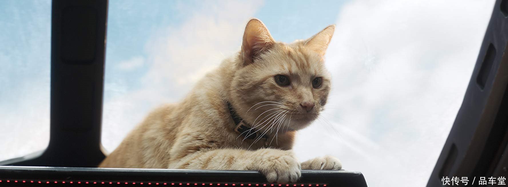 《惊奇队长》2个片尾彩蛋分析与《复仇者联盟