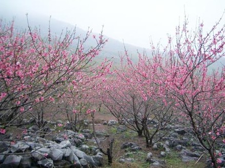 桃花谷-三门峡山谷