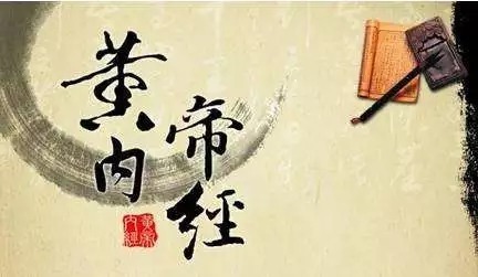 什么伏腊成语_抖音腊凤长什么样子