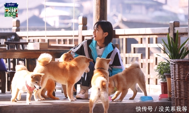 《向往的生活》走进湘西,张子枫落户蘑菇屋,划