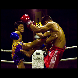 TaiChi42-5 四十二式太极拳-5官网、攻略-来36