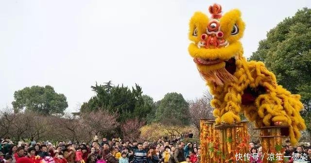 城表情|春花正好lady表情包嘎嘎图片