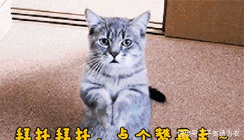 罗晋婚后不叫唐嫣老婆,喊的这2个字可以看出