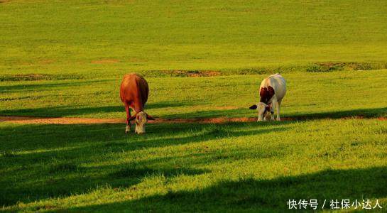 60岁老人医疗保险