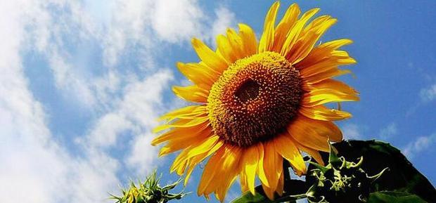 生活中如何辨别方向