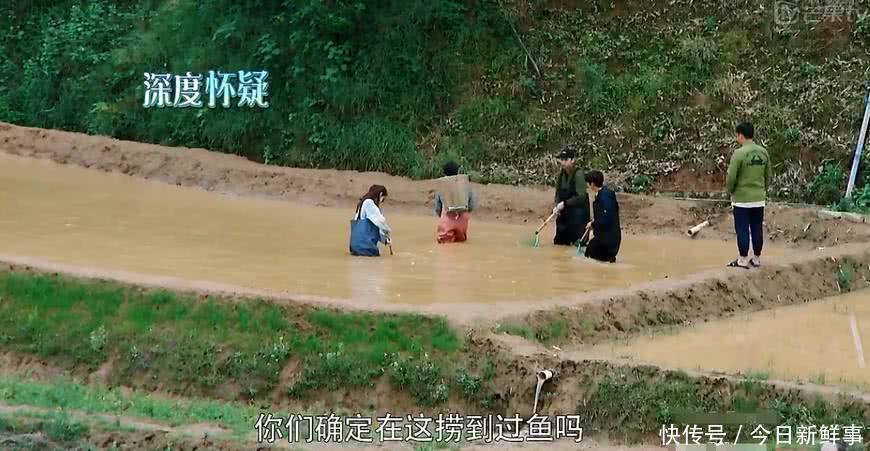 佟丽娅做客《向往的生活》,和黄磊聊天,自己拍