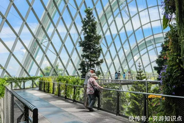这是什么节奏?新加坡竟然花了10亿打造“原始森林”