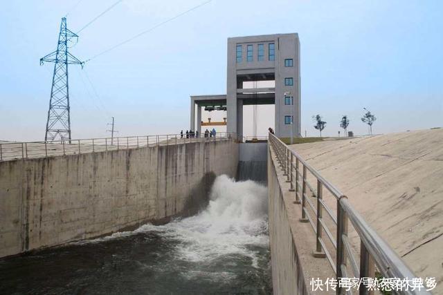 南水北调的河里到底有没有鱼看完你就明白了!