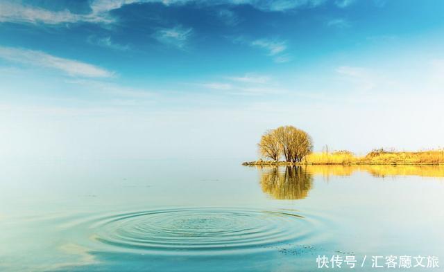 江浙沪又一网红打卡地！有轨电车穿过海棠花海，2元直达太湖