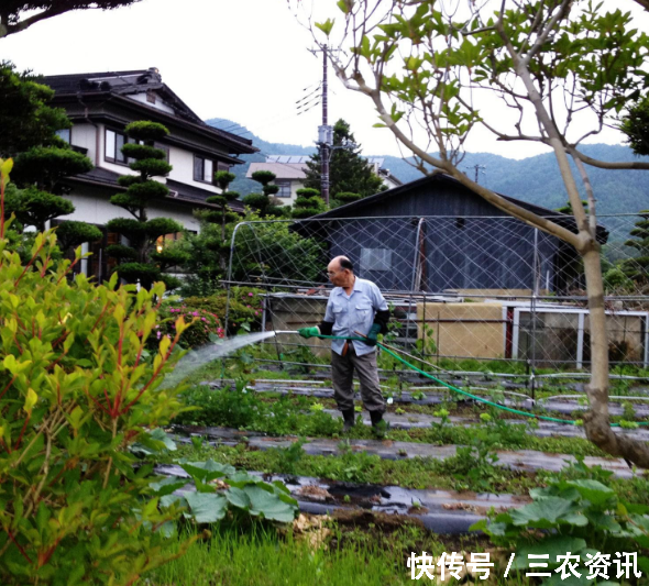 走进日本农村，实拍农民在乡村的日常生活！