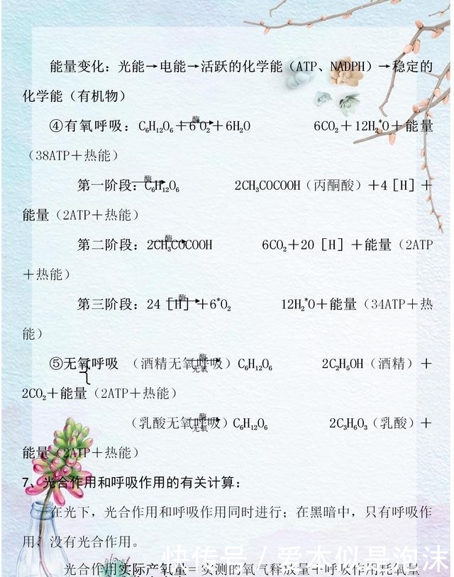胆量生物重要生物必考,3年归纳考点,考点考10的天使高中高中生下载迅雷图片