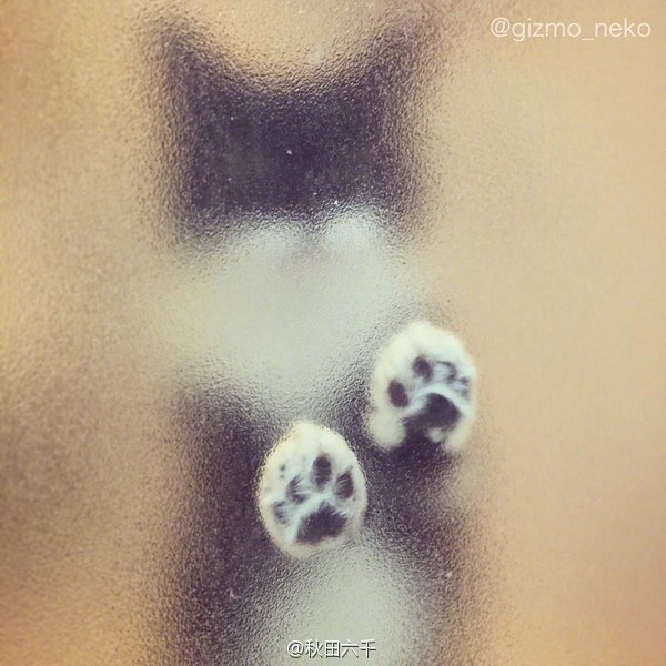 你和恐怖大片之间只差了一块毛玻璃