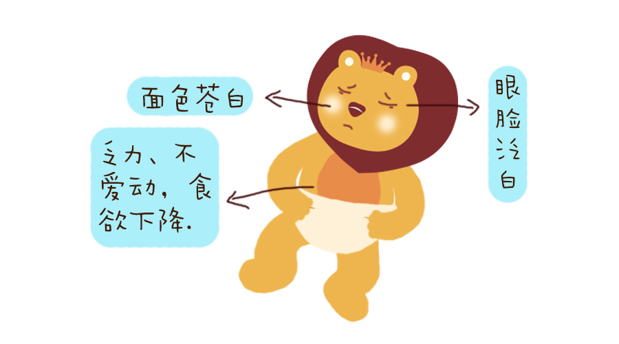 吃了那么多铁含量高的食物,为什么宝宝还会贫