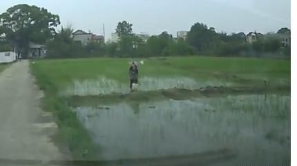 悲剧!前天,吉安一农民在田里插秧遭雷击,不幸身