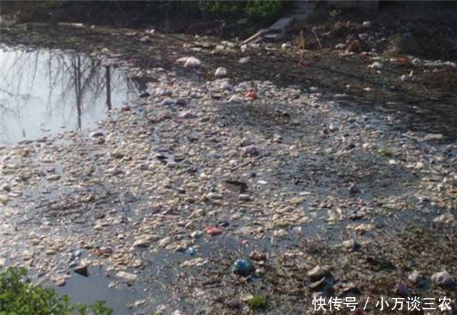 中国对日本禁止出口这东西,网友纷纷拍手叫好