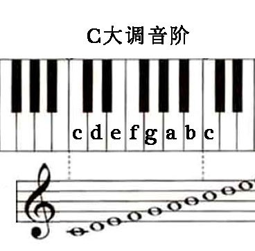 钢琴 有C 调变成D调怎么变?_360问答