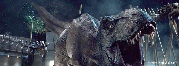 三只暴龙能杀死十只东北虎吗这种答案还是第一