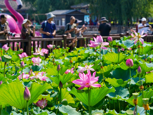 北京有几个档案馆（北京市档案馆新馆）