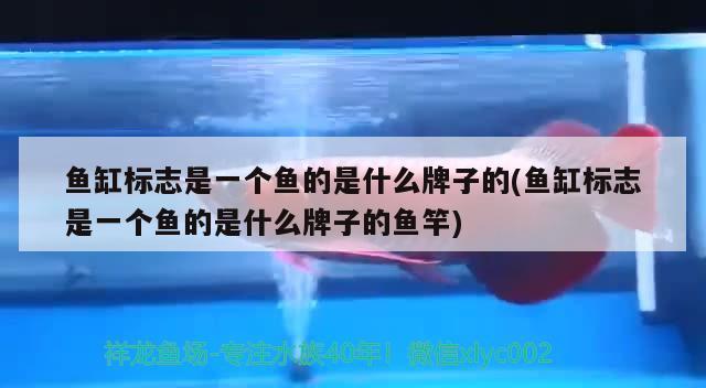 龍魚常見病蟲害有哪些種類圖片（龍魚常見病蟲害有哪些種類圖片大全）