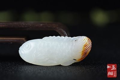 杭州龍魚(yú)搬遷最新消息新聞視頻（杭州龍魚(yú)搬遷最新消息新聞視頻播放） 觀賞魚(yú)市場(chǎng)（混養(yǎng)魚(yú)）