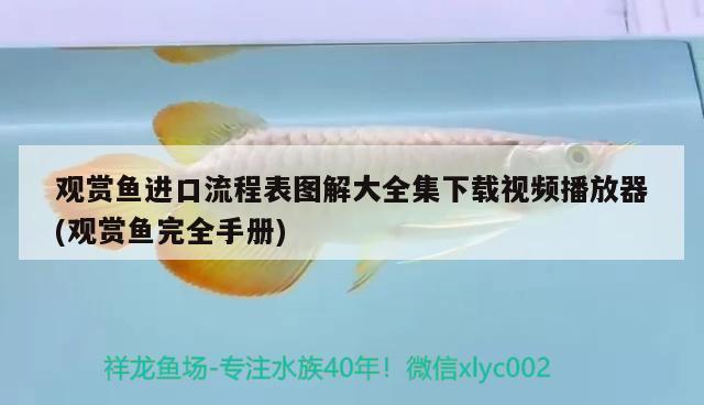 什么樣的魚缸過濾器效果好  錦鯉魚百科