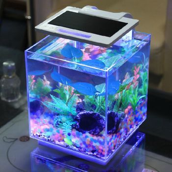 金魚缸制作施工視頻教程下載 水族問答