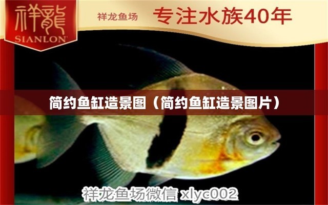 七彩雷龍魚和什么魚混養(yǎng)（七彩雷龍魚和什么魚混養(yǎng)好）