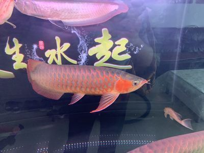 厦门市思明区龙之家水族馆（厦门市思明区龙之家水族馆电话）