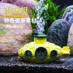 海缸觀賞魚壽命（海缸的壽命） 廣州觀賞魚批發(fā)市場