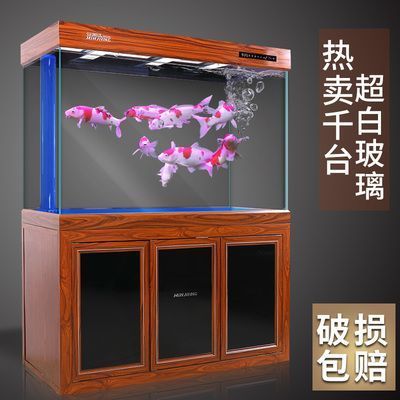 西安哪里買魚缸多些錢一個（西安買魚缸地方在哪里）