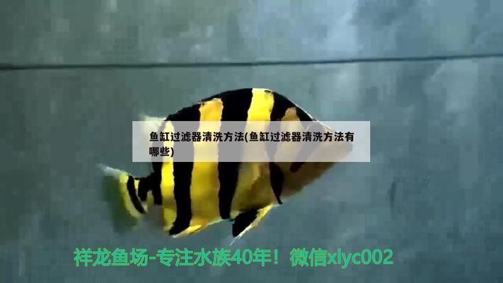 魚缸里面水泵要開嗎（魚缸里面水泵要開嗎視頻） 蘇虎