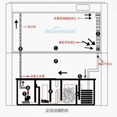 6o公分玻璃魚缸價(jià)格（60的魚缸6mm玻璃）