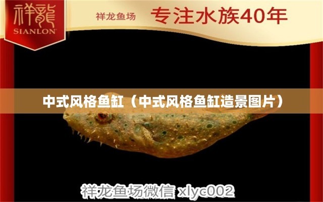 魚缸裝飾物品有哪些（魚缸裝飾物品有哪些圖片） 泰國虎魚