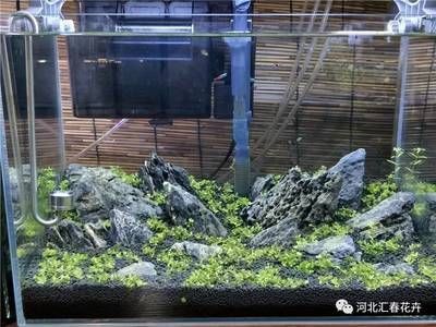 泰安魚缸廠家電話（泰安魚缸廠家電話號碼）