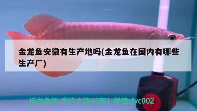 室內(nèi)魚缸什么水草好養(yǎng)（室內(nèi)魚缸什么水草好養(yǎng)活）