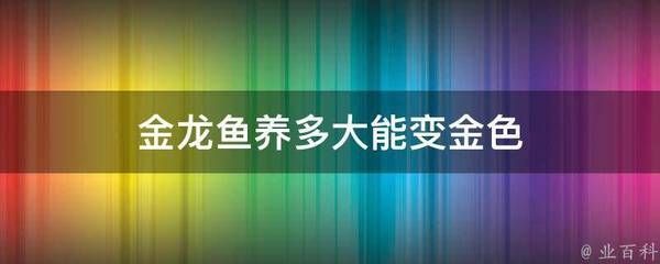 天津哪里有賣水族魚缸的地方?。ㄌ旖蚰睦镉匈u水族魚缸的地方啊電話）